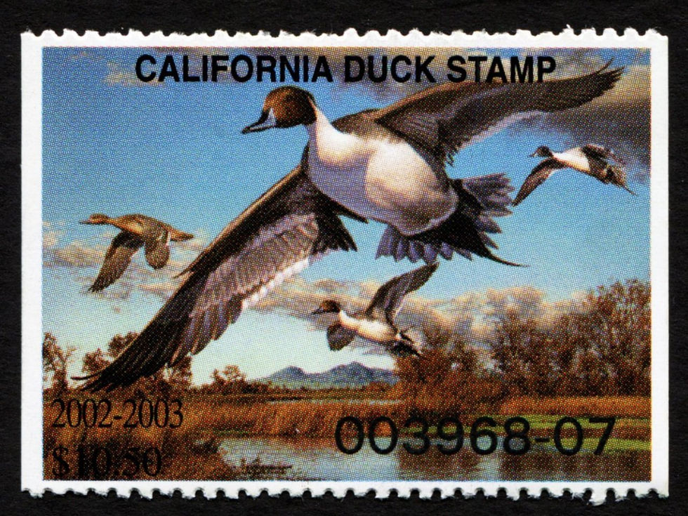 CA32 California Duck Stamp 2002-03 Mint LH XF 003968-07 Pintails