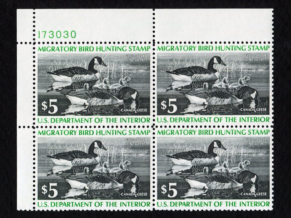 RW43 1976-77 Canada Geese, MNH XF Plate Block Duck Stamp