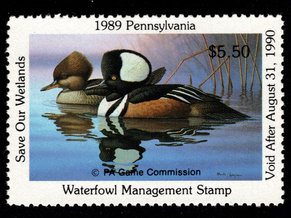 Pennsylvania 1990 PA7 Canvasbacks Duck Stamp