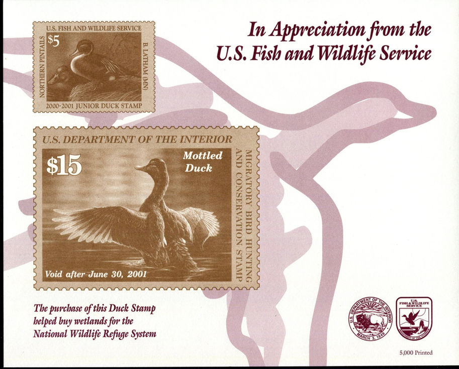 2000 RW67 Shadow Duck Stamp Souvenir Card Mottled Duck