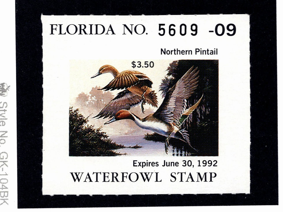 Florida 1991 FL13 Northern Pintail, Mint Duck Stamp