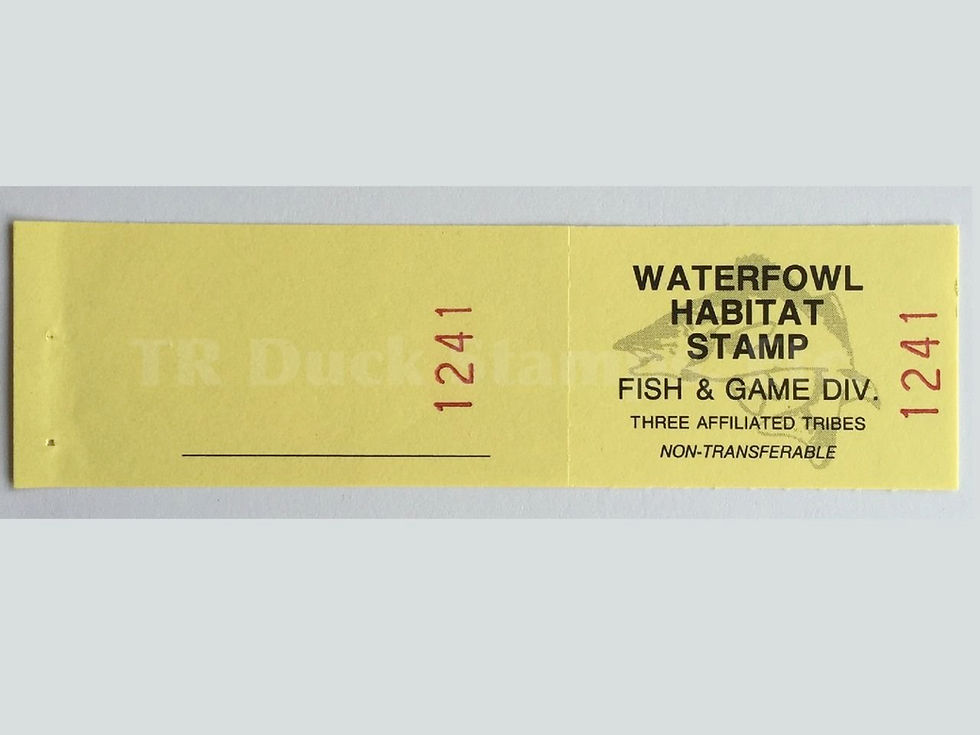 TT125 Fort Berthold 2005 Waterfowl S/N 1213-1368 stamp