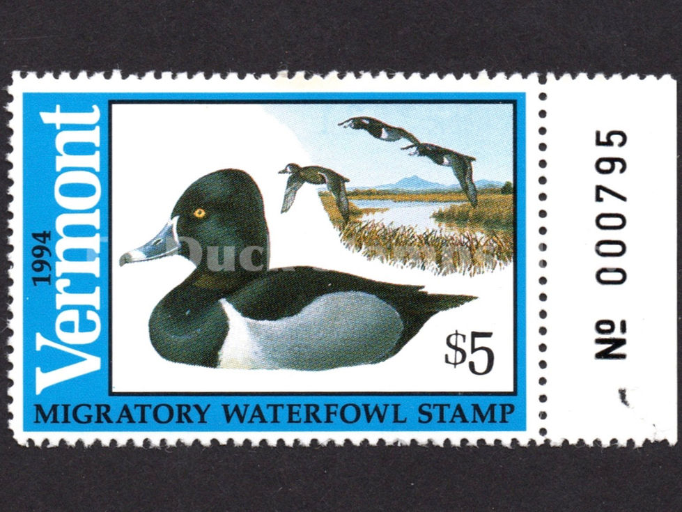 Vermont 1994 VT9 Ring-necked Ducks Duck Stamp