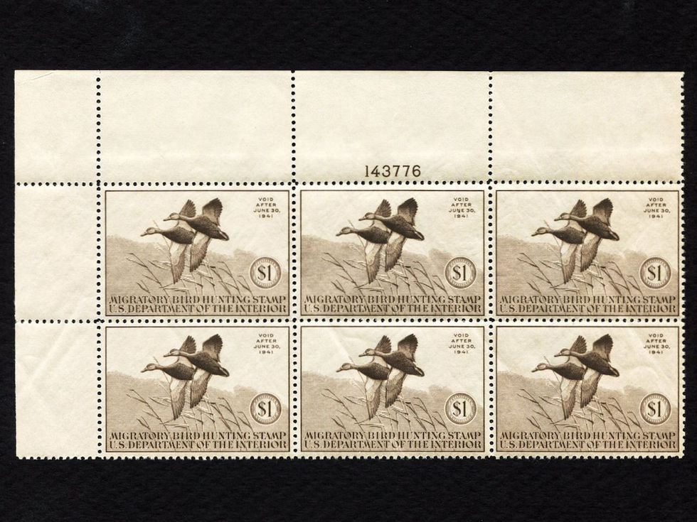 RW7 1940-41 Black Ducks, Mint VF Plate Block/6 Duck Stamp