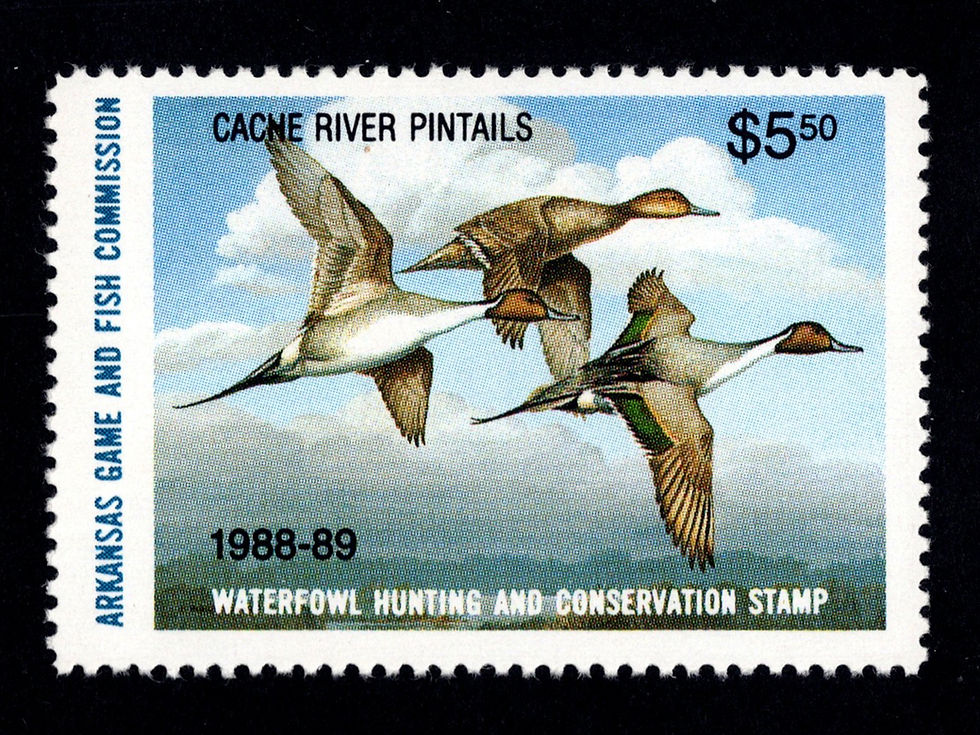Arkansas 1988 AR8A Cache River Pintails Duck Stamp $5.50 denomination