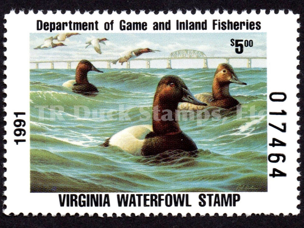 Virginia 1991 VA4 Canvasbacks Duck Stamp