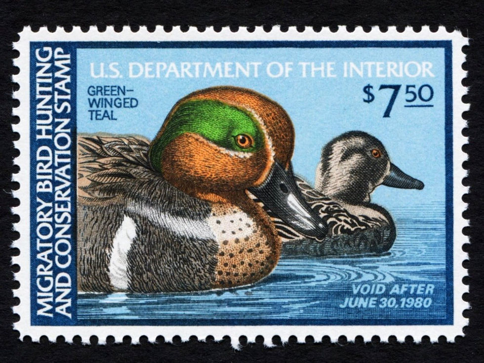 RW46 1979-80 Green-Winged Teal, MNH XF Duck Stamp