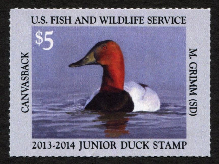 JDS21 2013-2014 Canvasback Junior Duck Stamp
