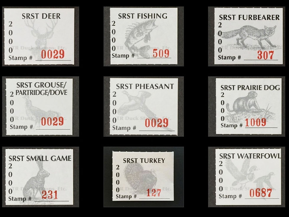 SR95-103 Standing Rock 2000 Basic Set/9 Stamps Stamp