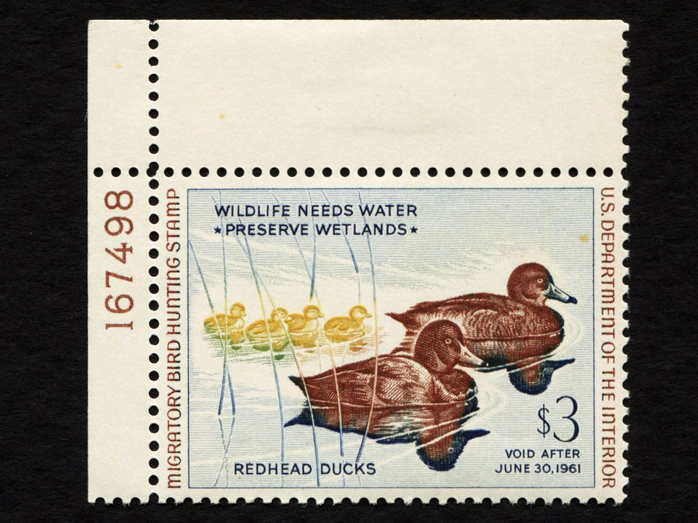 RW27 1960-61 Redheads, Mint XF, P/S (LH on upper selvage) Duck Stamp
