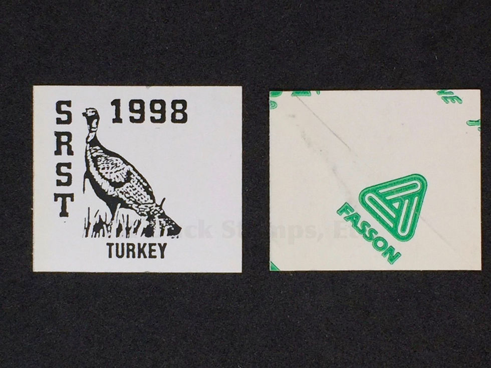SR72var Standing Rock 1998 Turkey, Green Back Stamp
