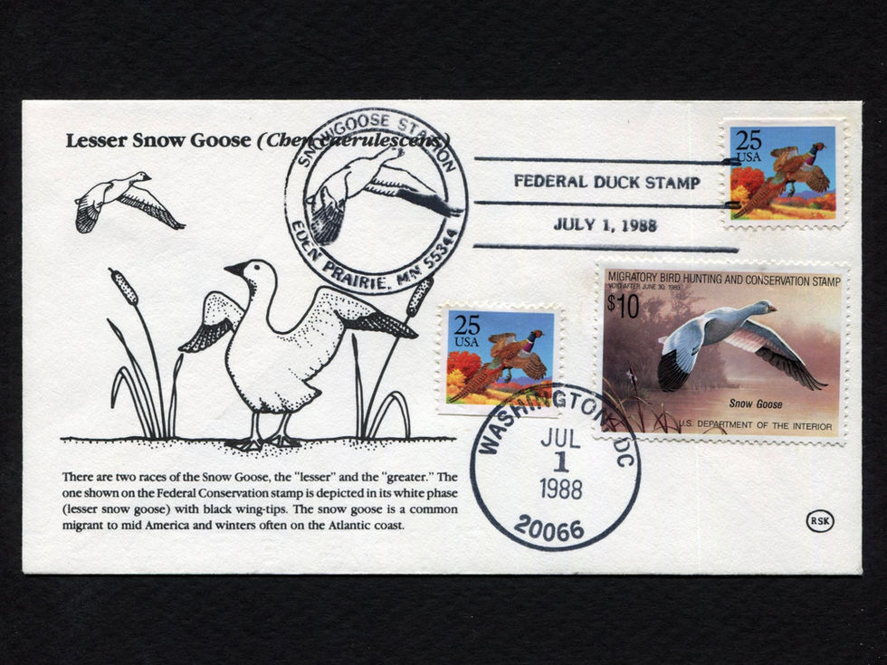 1988 RSK RW55 Federal Duck Stamp FDC - Snow Goose