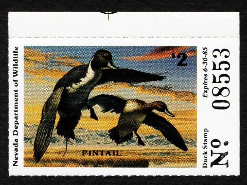 NV6 Nevada 1984 Pintails, Mint