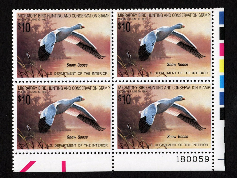 RW55 1988-89 Snow Goose, MNH VF Plate Block Duck Stamp