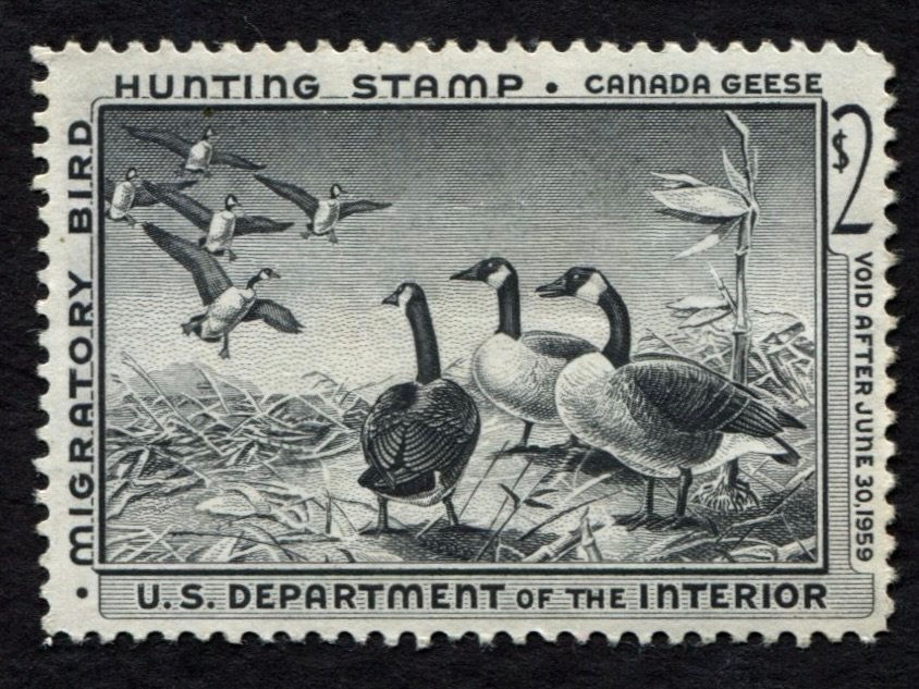 RW25 1958-59 Canada Geese, Mint VF NH Duck Stamp