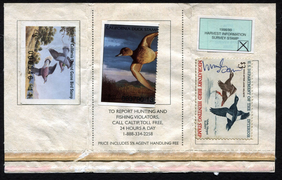 1998-99 California Hunting License s/n 831136