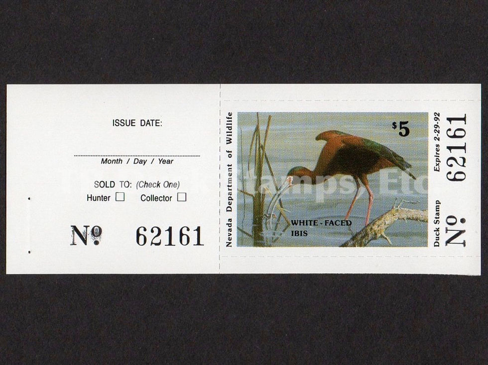 Nevada 1991 NV13A White-faced Ibis, Tab Duck Stamp