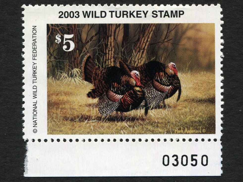 2003 National Wild Turkey Federation