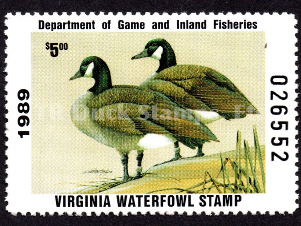 Virginia 1989 VA2 Canada Geese Duck Stamp