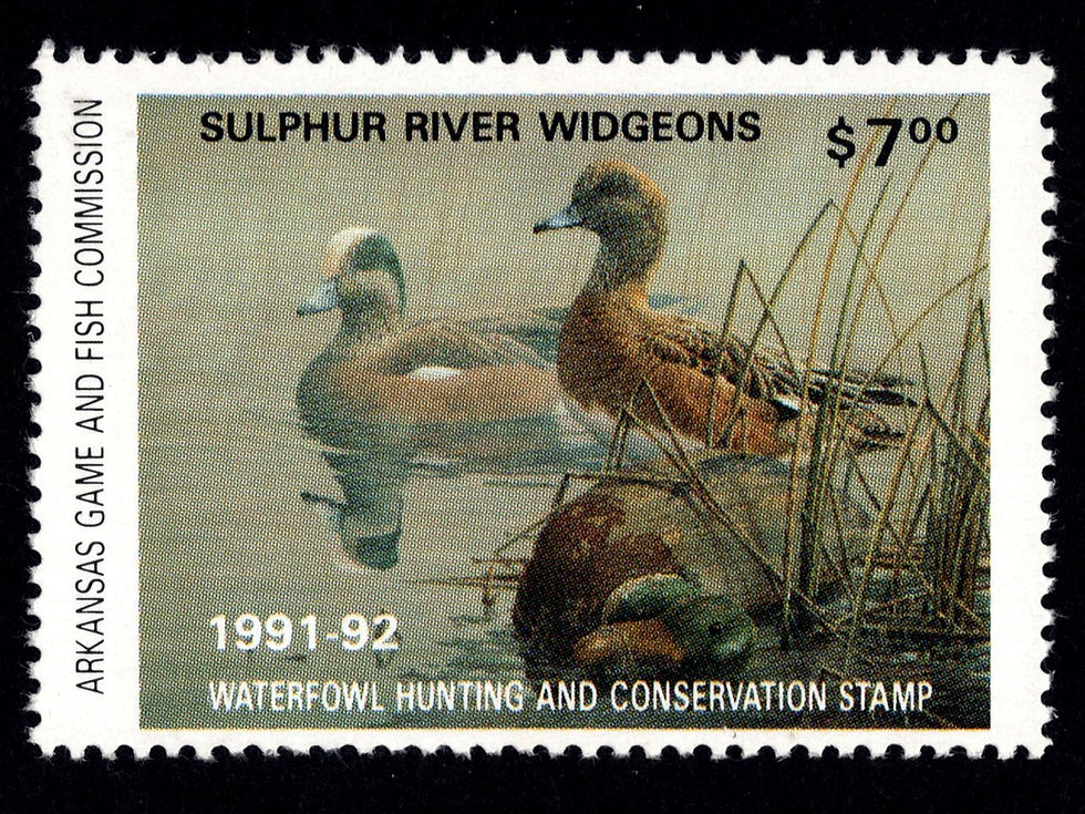 Arkansas 1991 AR11 Sulphur River Widgeons Duck Stamp