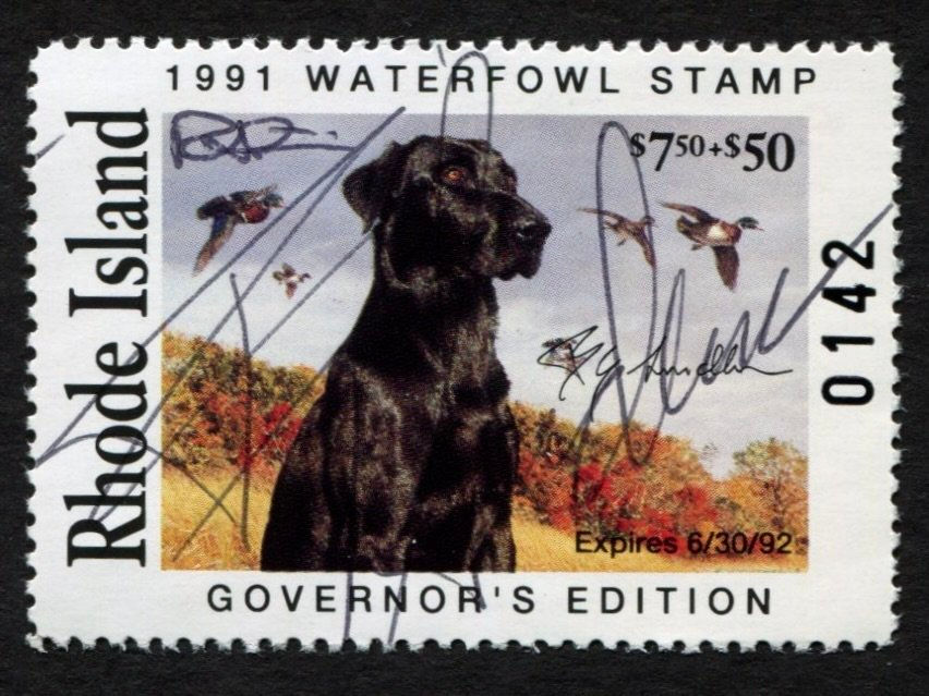 Rhode Island 1991 RI3G Waterfowl Stamp - Signed by Governor & Artist