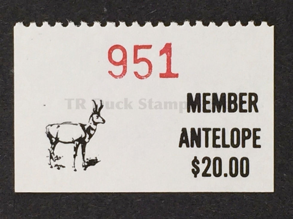 PR35A Pine Ridge 1988-92 Antelope 20.00, Member
