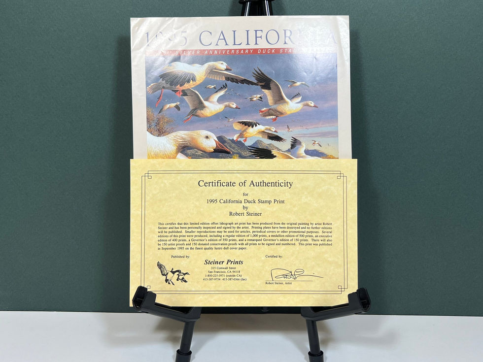 CA25 California Duck Stamp 1995 Snow Geese by Robert Steiner 14/400