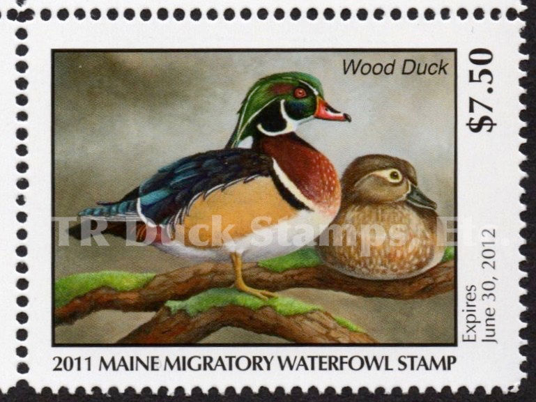 Maine 2011 ME28 Wood Duck Duck Stamp