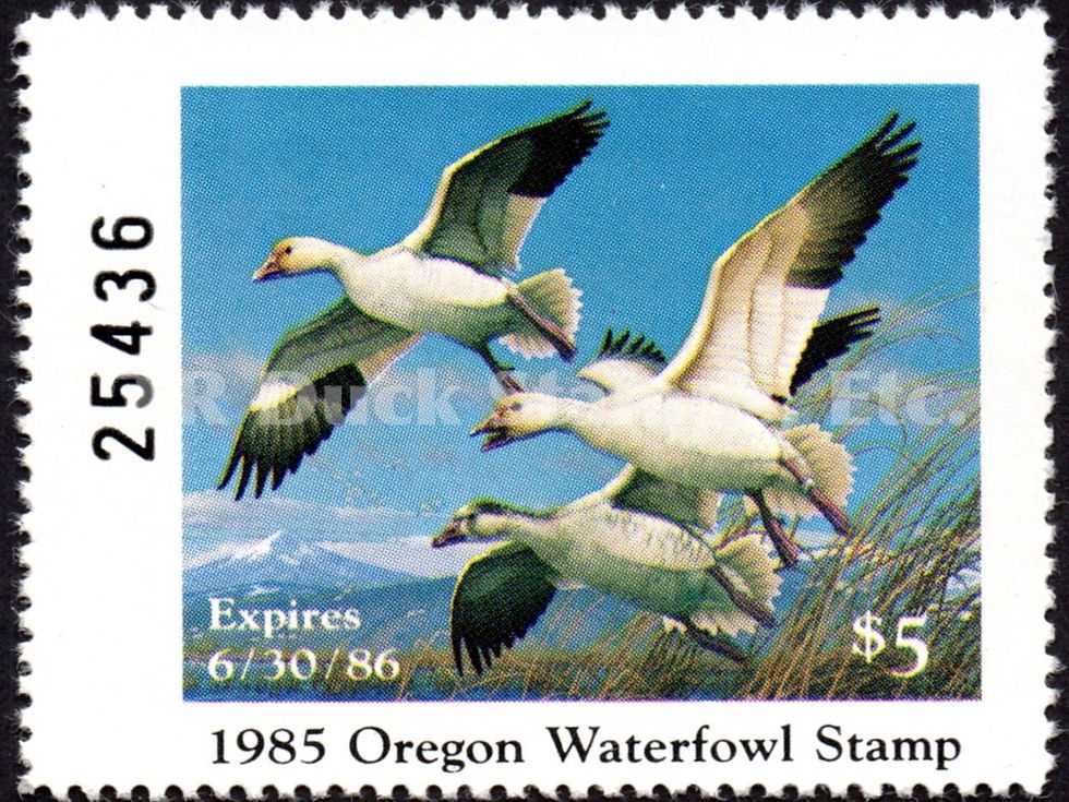 Oregon 1985 OR2 Lesser Snow Geese Duck Stamp