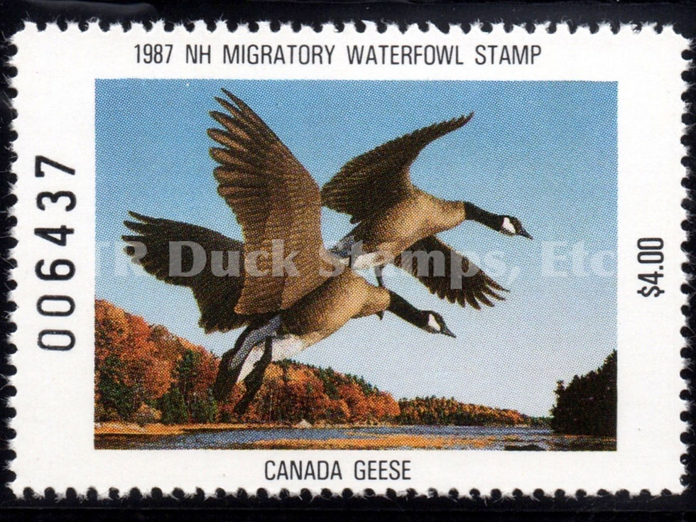 New Hampshire NH5 1987 Canada Geese