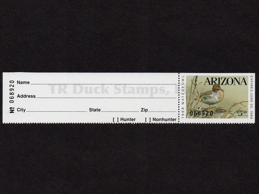 Arizona 1988 AZ2A Green-winged Teal, Hunter Version