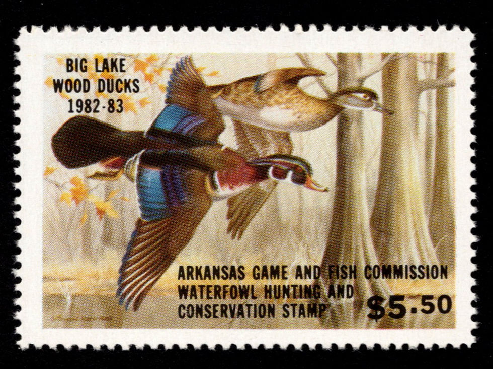 Arkansas 1982 AR2 Big Lake Wood Ducks Duck Stamp