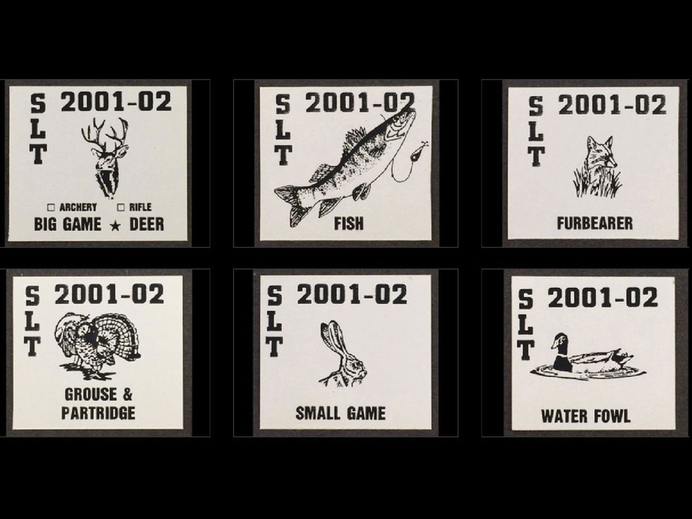SL37-43 Spirit Lake Tribe 2001-02 Set/6 NO 41 Stamp