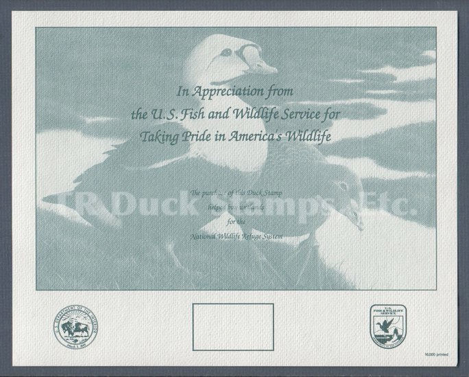 1991 RW58 Shadow #44 Duck Stamp Souvenir Card King Eiders