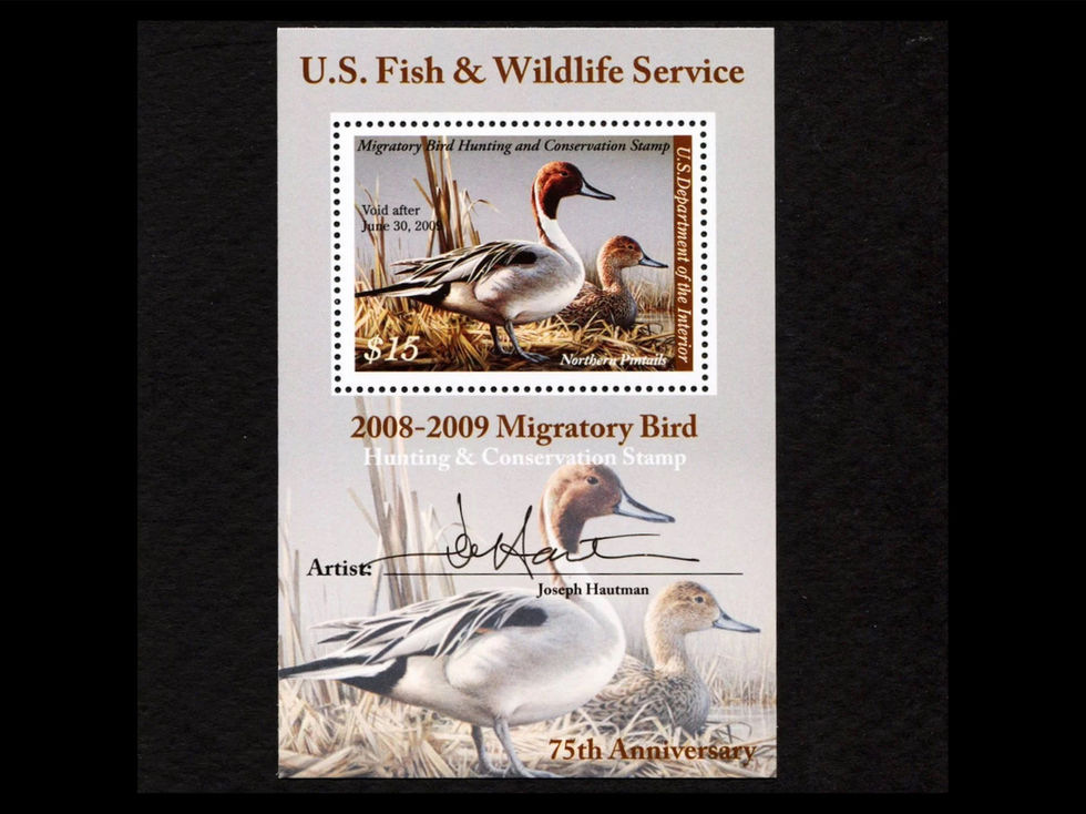 RW75 2008-09 Northern Pintails, Mint Mini Sheet Duck Stamp
