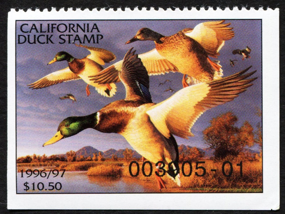 CA26 California Duck Stamp 1996-97 Mint VF 003905-01 Mallards