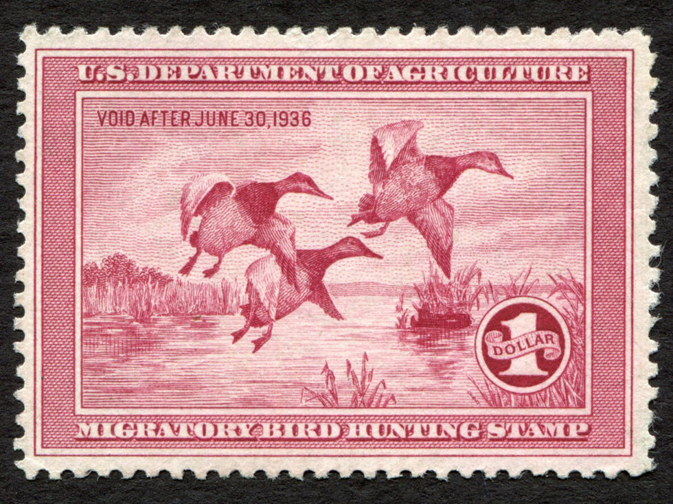 RW2 1935-36 Canvasbacks, VF No Gum Duck Stamp