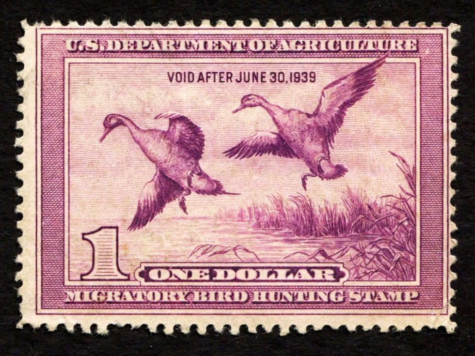 RW5 1938-39 Northern Pintails, Used Avg Unsigned Duck Stamp