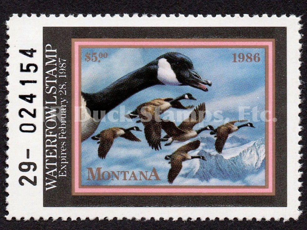 Montana 1986 MT1 Canada Geese Duck Stamp, First of State