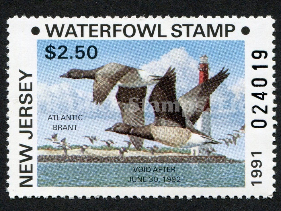 New Jersey NJ8 1991 $2.50 Brant, Resident Duck Stamp