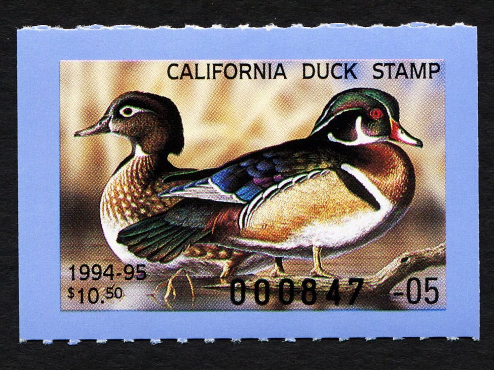 CA24 California Duck Stamp 1994-95 Wood Ducks, Mint VF 000847-05