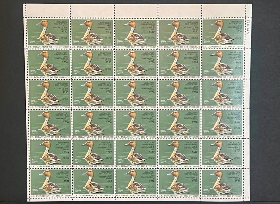 RW53 1986-87 Fulvous Whistling Duck, MNH Full Sheet of 30 Duck Stamp