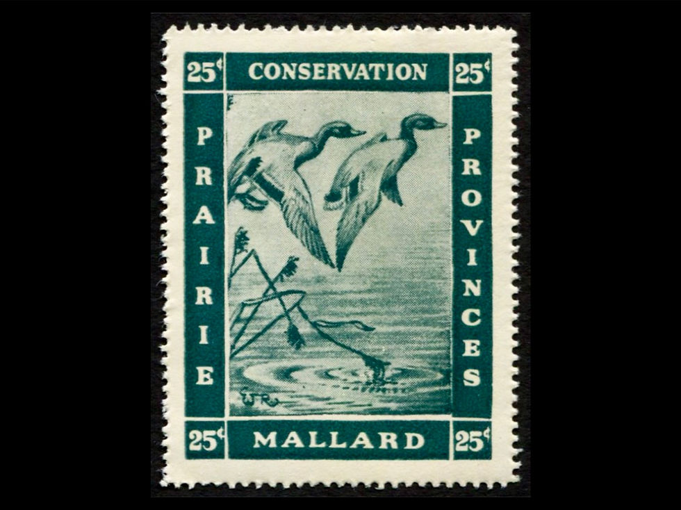 Prairie Provinces Conservation Stamp - Mallard