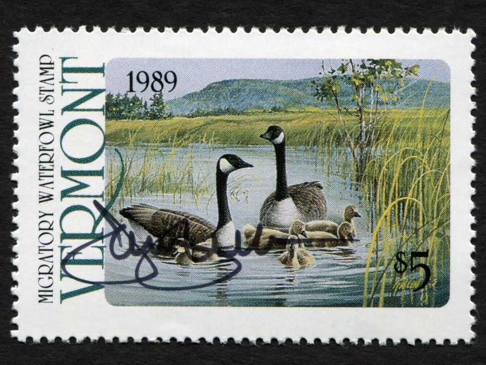 Vermont 1989 VT4 Canada Geese Artist-Signed by Jim Killen