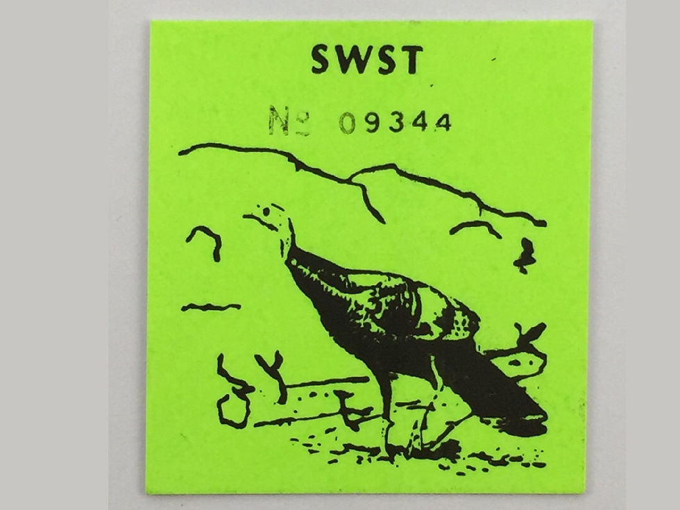 LT41 Lake Traverse SWST 1993 Turkey Stamp