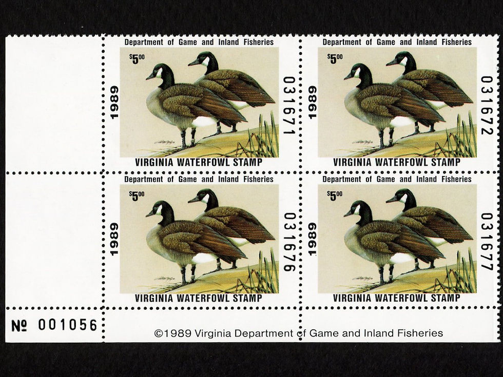 Virginia 1989 VA2 Canada Geese Plate Block Duck Stamp