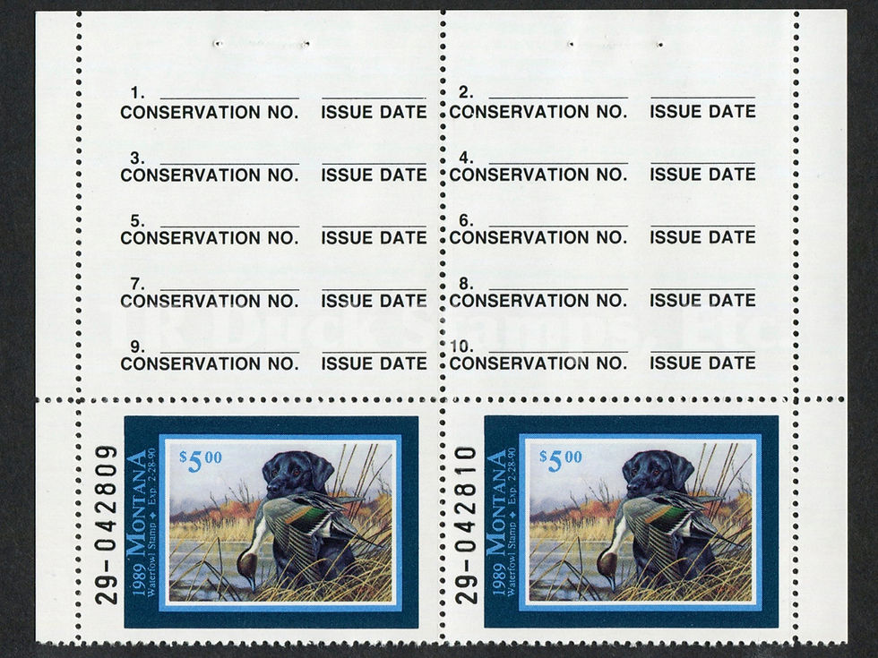 Montana 1989 MT4AP Black Labrador & Pintail, Pair Duck Stamp