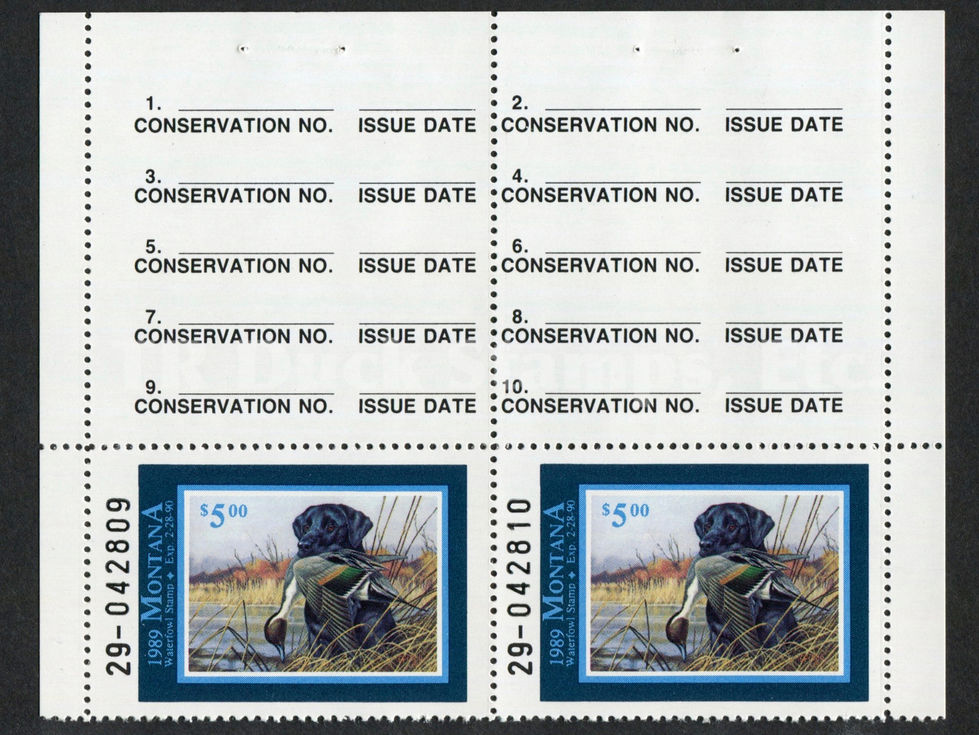 Montana 1989 MT4AP Black Labrador & Pintail, Pair Duck Stamp