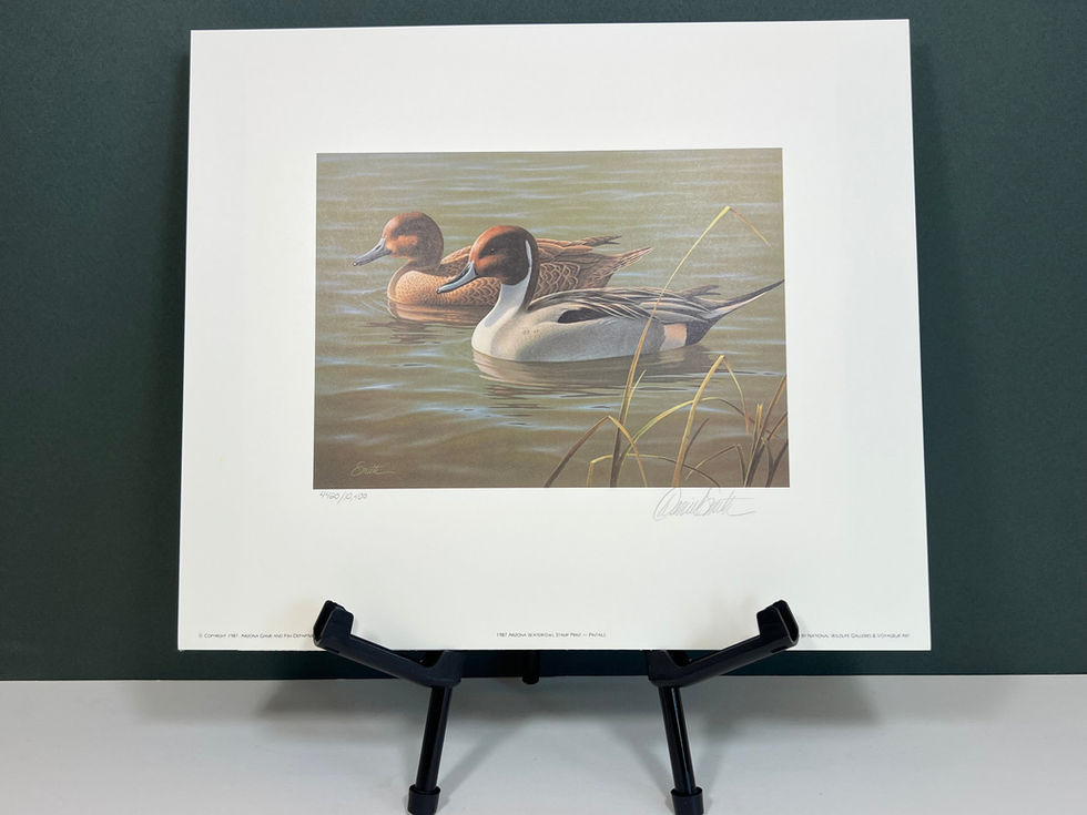 Arizona 1987 Pintails by Daniel Smith 4420/10400