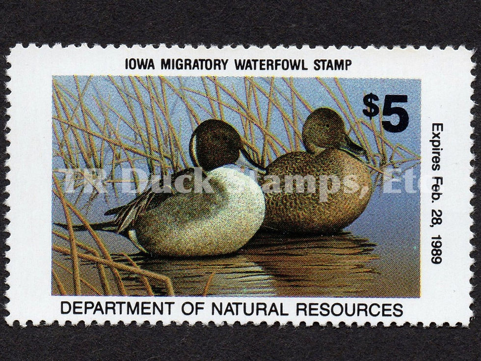Iowa 1988 IA17 Pintails Duck Stamp